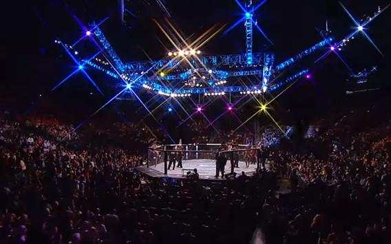 Action: WWE VS UFC Warriors screenshot 1