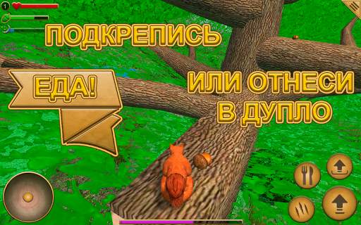 Симулятор Белки скриншот 6