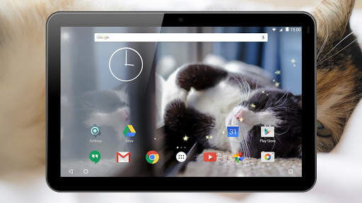 Cats Live Wallpaper screenshot 13