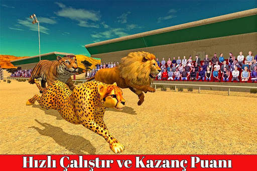 savana hayvan yarışları 3D screenshot 4