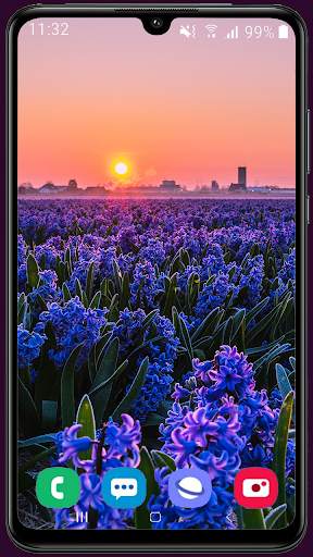 Sunrise Wallpaper Best HD screenshot 4