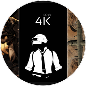 PUBG wallpaper icon