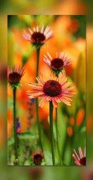 Best Nature Wallpaper screenshot 5