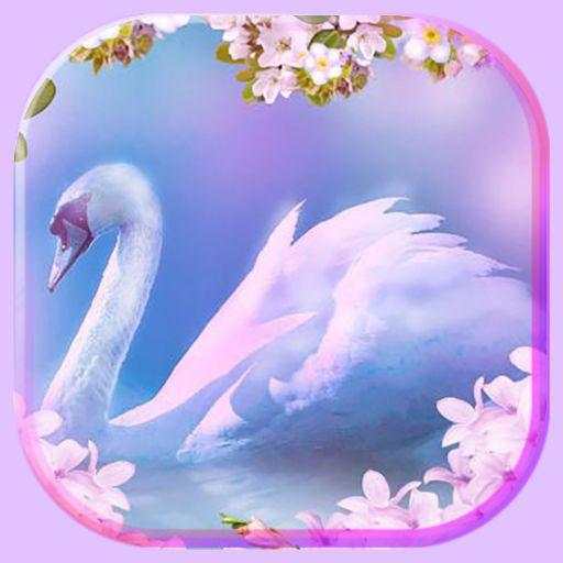 Spring Swans Live Wallpaper 1.2