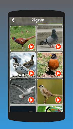 Animal Sounds, Animal Language, Animal Voice screenshot 4