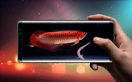 Lovely Arowana LiveWallpaper 3 تصوير الشاشة