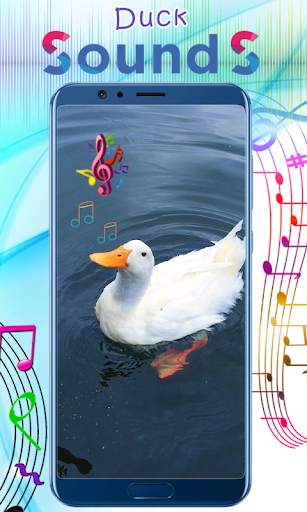 Duck Sounds 5 تصوير الشاشة