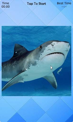 Shark Puzzle screenshot 2