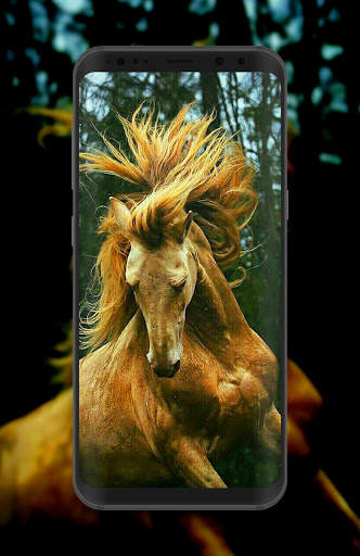 Horse Wallpaper HD Offline screenshot 4