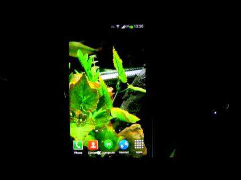 Fish Live Wallpaper HD 2 screenshot 1