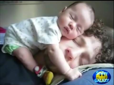 Free funny videos for whatsapp screenshot 6