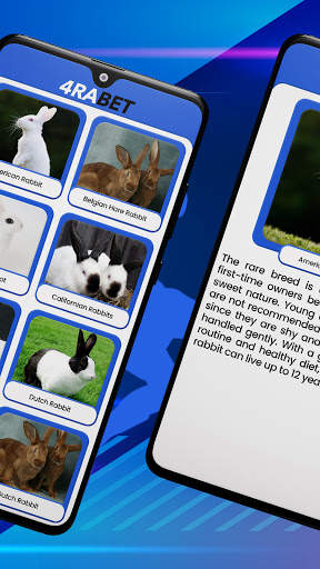 4raBet - Rabbits Guide screenshot 3