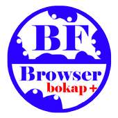BF Browser Bokap - simaxtube icon