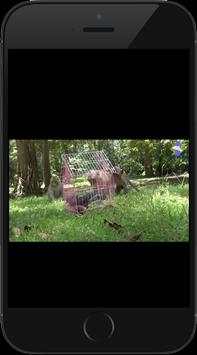 Funny Videos screenshot 6