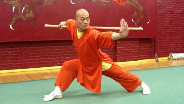 Learn Kung Fu screenshot 2