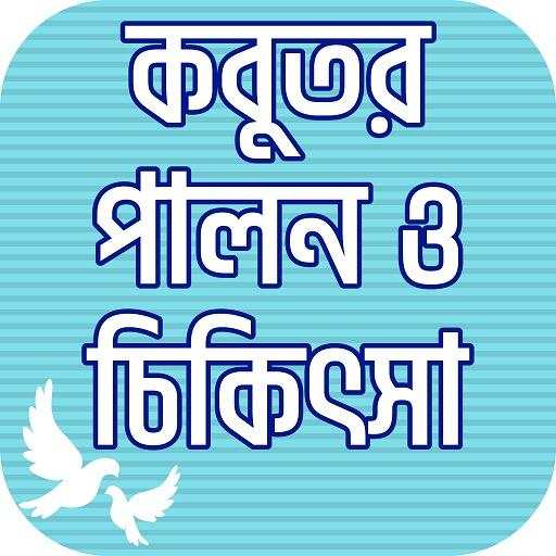কবুতর পালন ও চিকিৎসা Kobutor palon -ক্ষুদ্র ব্যবসা 7.0