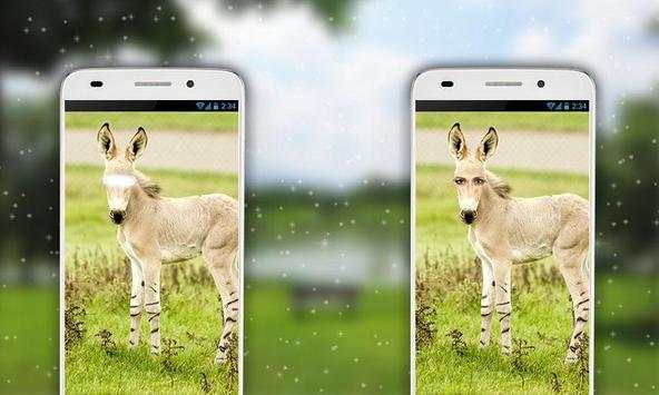 Donkey Photo Editor screenshot 3