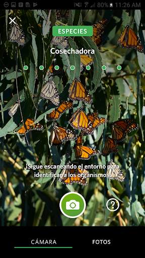 Seek, por iNaturalist screenshot 1