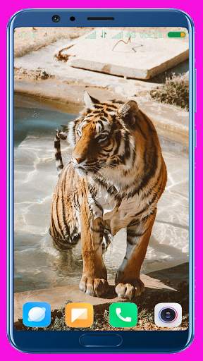 Tiger Wallpaper Best 4K screenshot 11