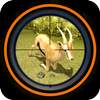Jungle Animal Sniper Hunter 3d 1.0