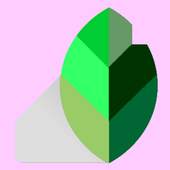 Guide for snapseed : Photo editing 1.0