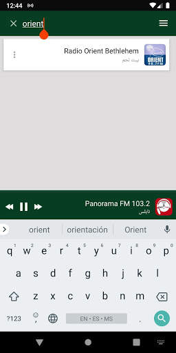Palestine Radio Stations скриншот 6