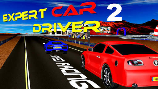 Expert Car Driver 2 screenshot 3