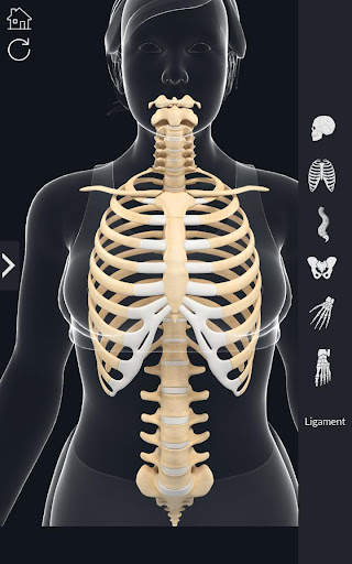 My Skeleton Anatomy screenshot 5