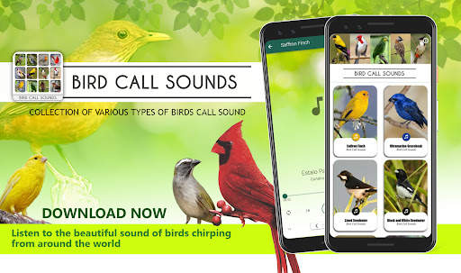 Bird Calls Sounds screenshot 1