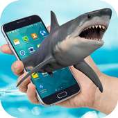 Shark on Screen logo