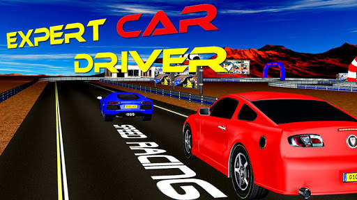 Expert car driver स्क्रीनशॉट 1