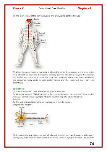 Biology class 10 Lakhmir Singh Solutions 7 تصوير الشاشة