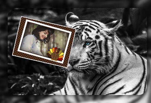 Tiger Photo Frames screenshot 2