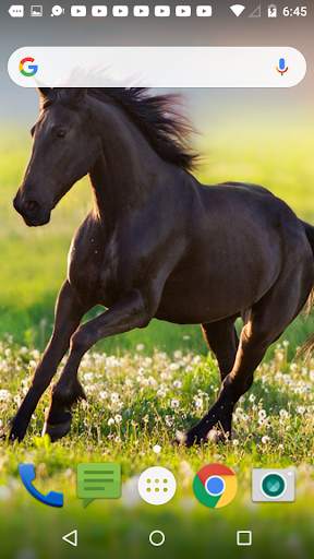 Horse Live Wallpaper 4 تصوير الشاشة
