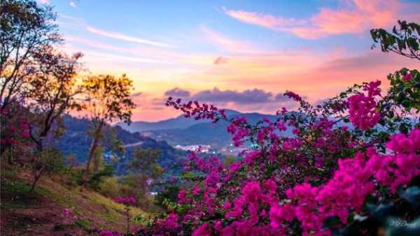 Spring Wallpapers 2018 screenshot 3