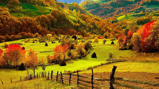 Autumn Wallpapers 14 تصوير الشاشة