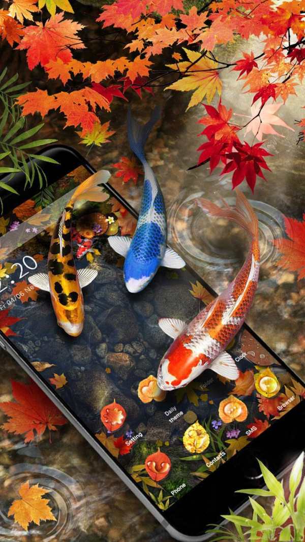 Autumn 3D Koi Fish Theme screenshot 3