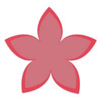 Sakura Catch icon