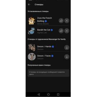 messenger for the whole family screenshot 4