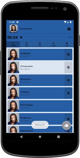 Jah Prayzah Song Lyrics Offline (Best Collection) screenshot 11
