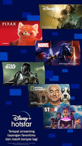 Disney  Hotstar screenshot 8