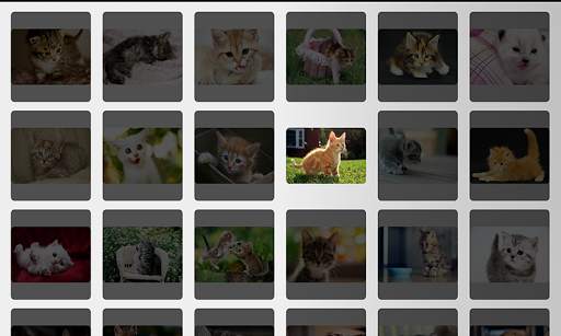 Photo Collage - Kittens Cat screenshot 3