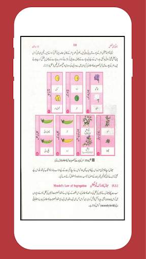 Biology 10 Urdu Medium (Offline) screenshot 7
