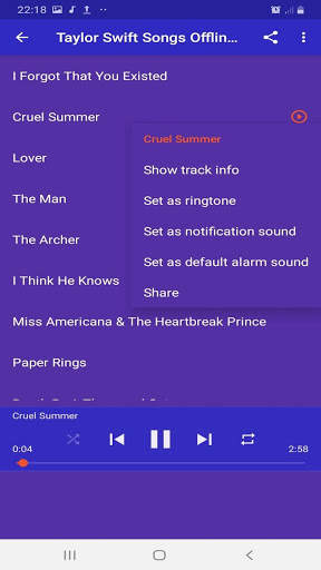 Taylor Swift Songs Offline screenshot 2