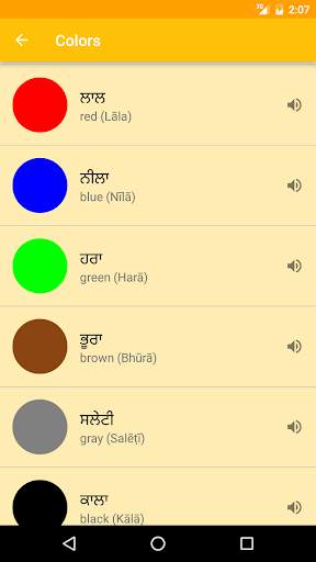 Learn Punjabi скриншот 8