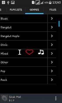 Player Pro Music Player screenshot 8