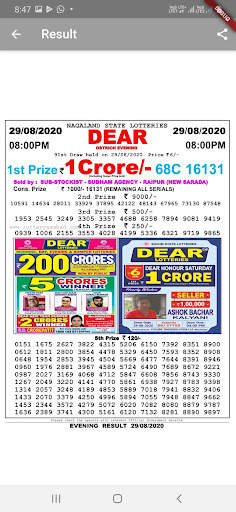 Dhankesari Lottery Results screenshot 6