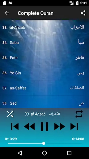 Wadi Alyamani no ads complete Quran MP3 no net скриншот 3