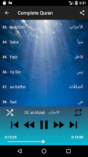 Wadi Alyamani no ads complete Quran MP3 no net screenshot 3