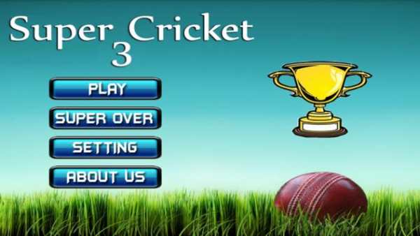 New Super Cricket 3 screenshot 1